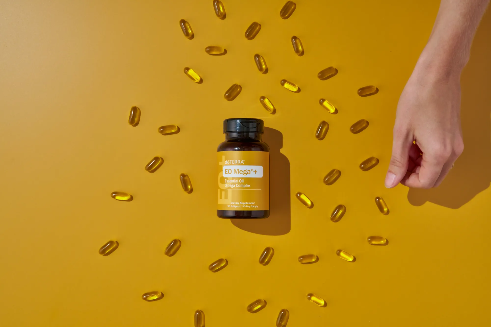 The foundational wellness routine